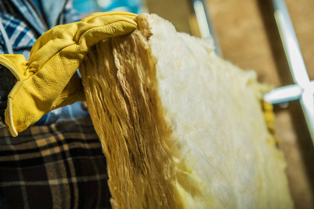 Best DIY Insulation Kits and Guidance in Sky Lake, FL