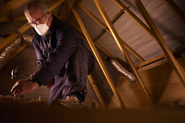 Best Eco-Friendly Insulation in Sky Lake, FL